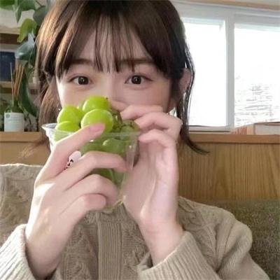 与鲨鱼游弋